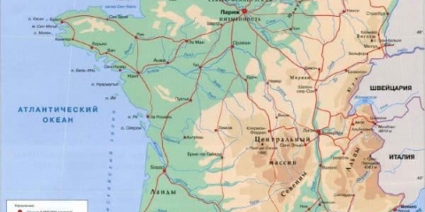 Koja je vrijednost burgundskog zeca i kako ga čuvati